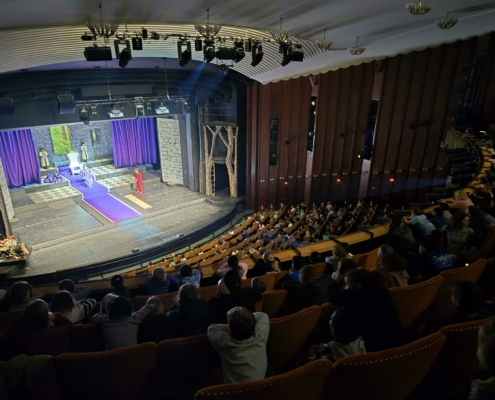 Schulausflug Schauspielahus Bochum 2025 Grundschule Pantrings Hof Herne (3)