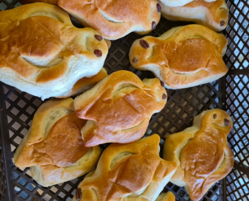 signal-2025-12-11-203011