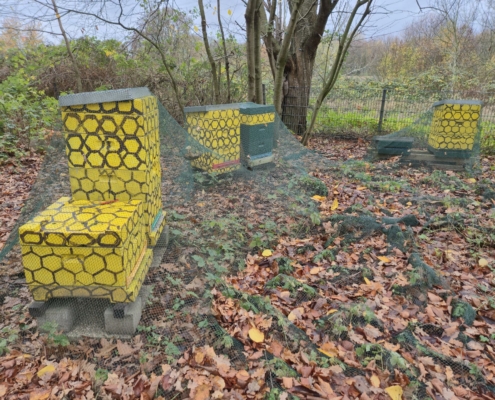 signal-2025-12-09-134647_010