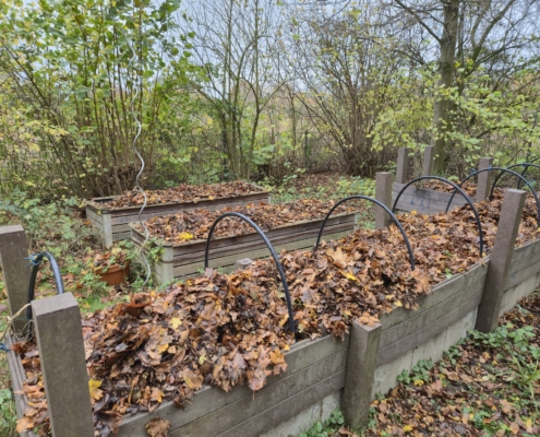 signal-2025-12-09-134647_013