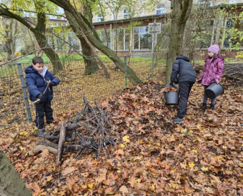 signal-2025-12-09-134647_016